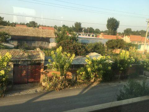 海城腾鳌镇东新村获评全国乡村治理示范村镇