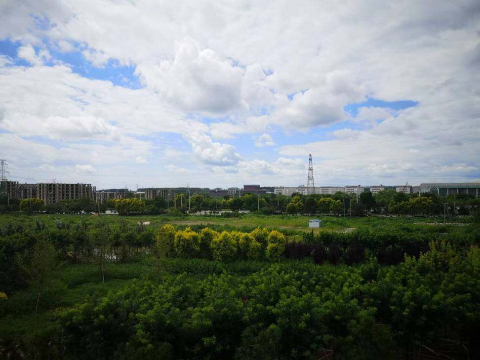 2022年同一位置，绿树成荫