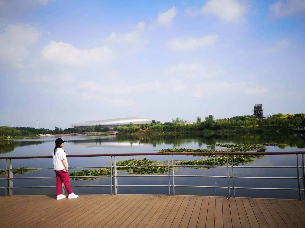 2022年栈桥赏莲观景