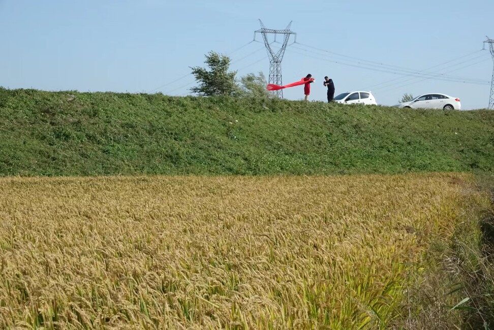 游人拍照