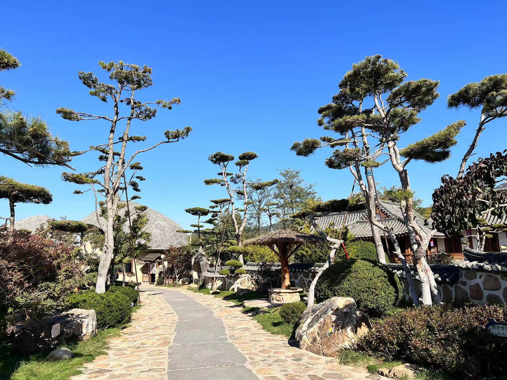 涌泉池韩园。