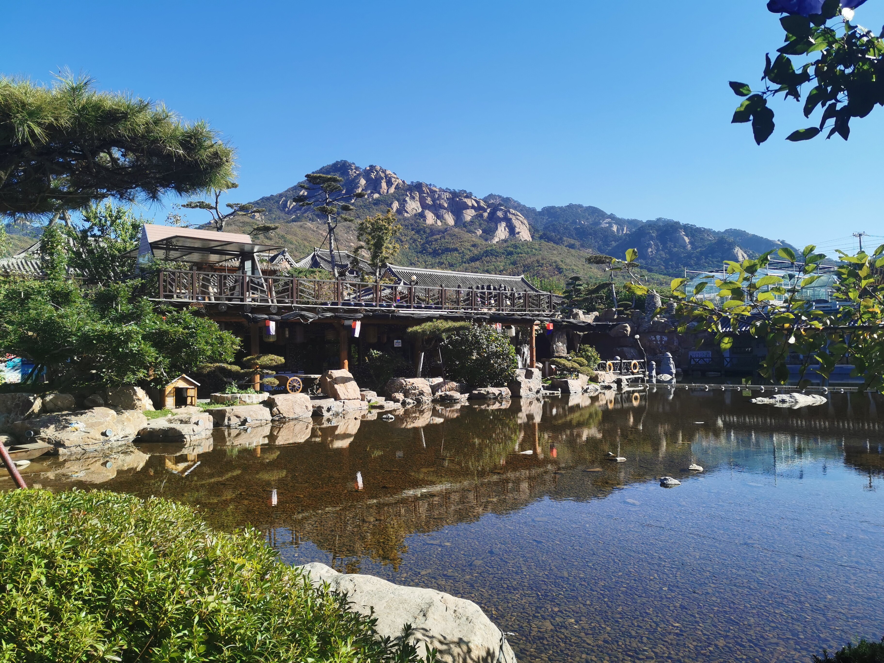 上石桥村秋日美景。