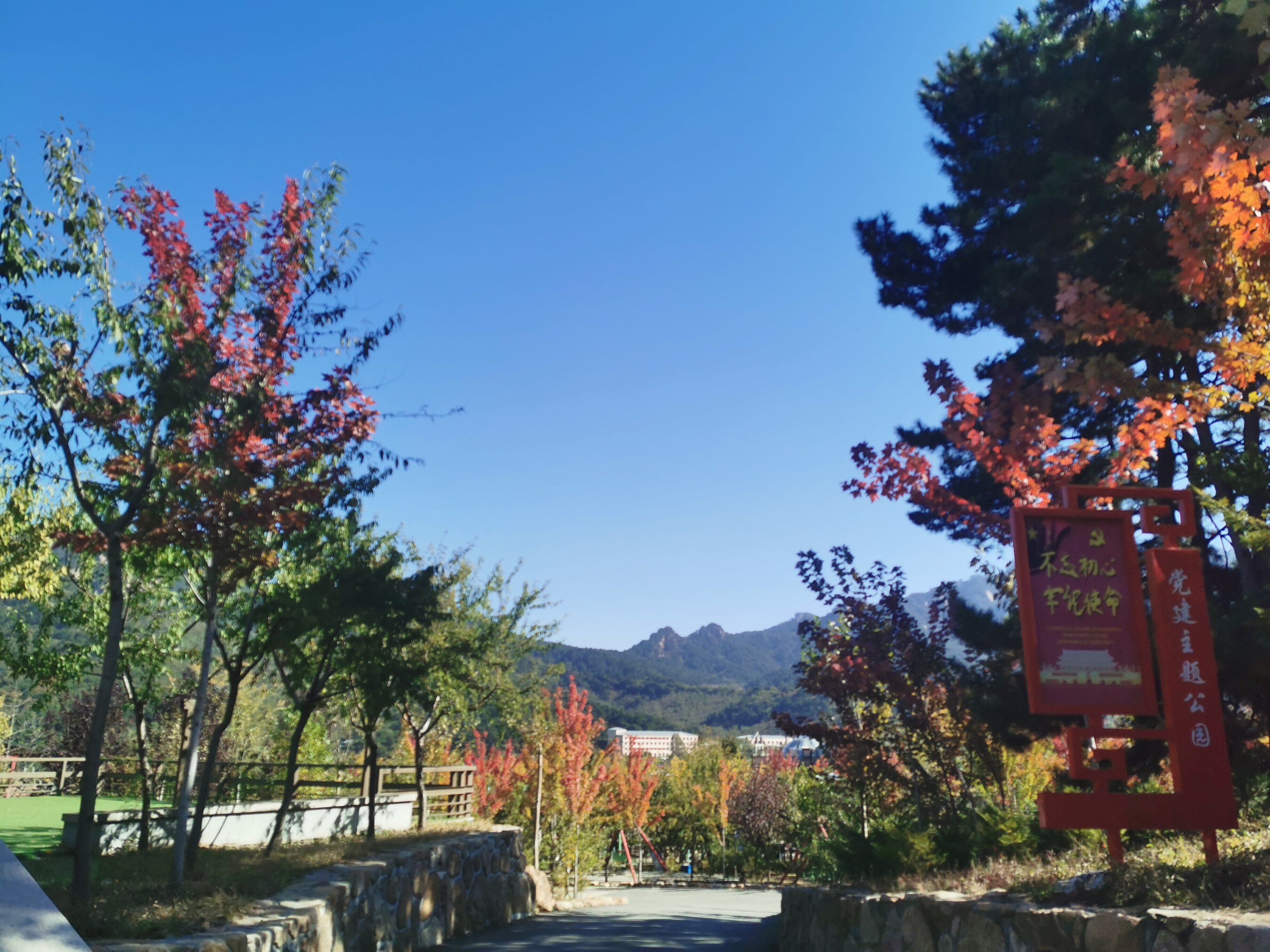 上石桥村秋日美景。