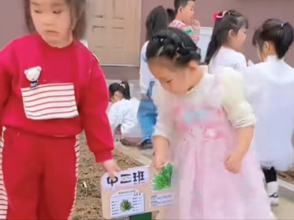 3891714877453_.pic.jpg