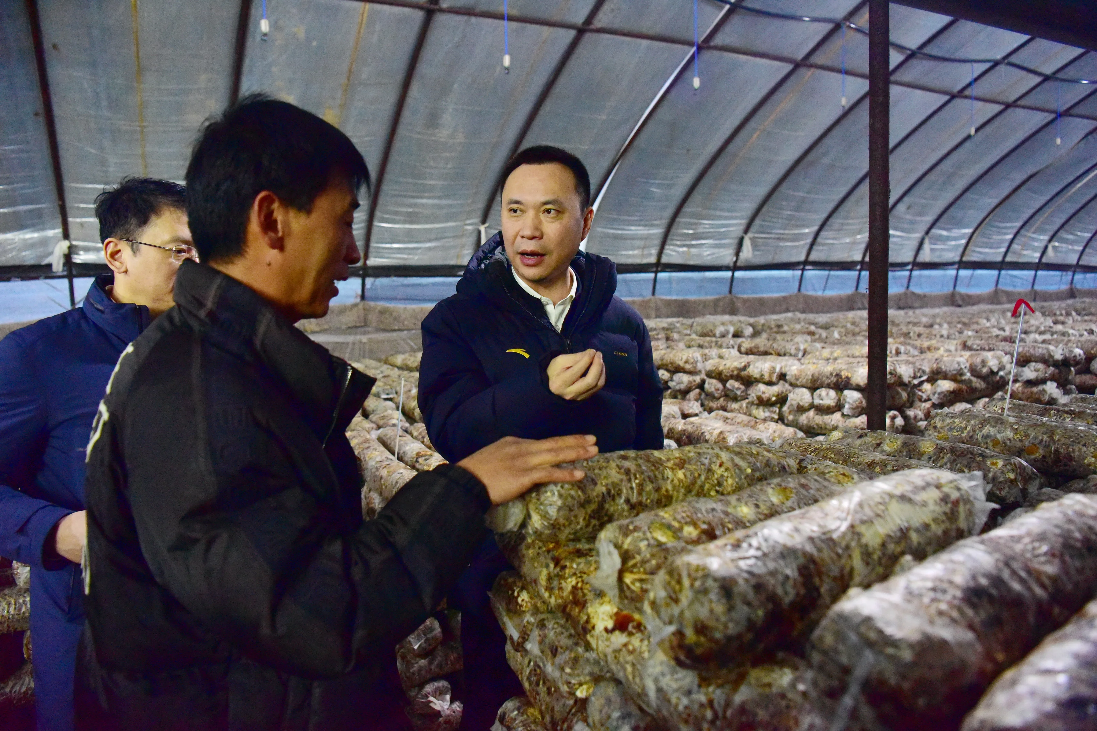 吴开华到清军食用菌种植专业合作社调研。