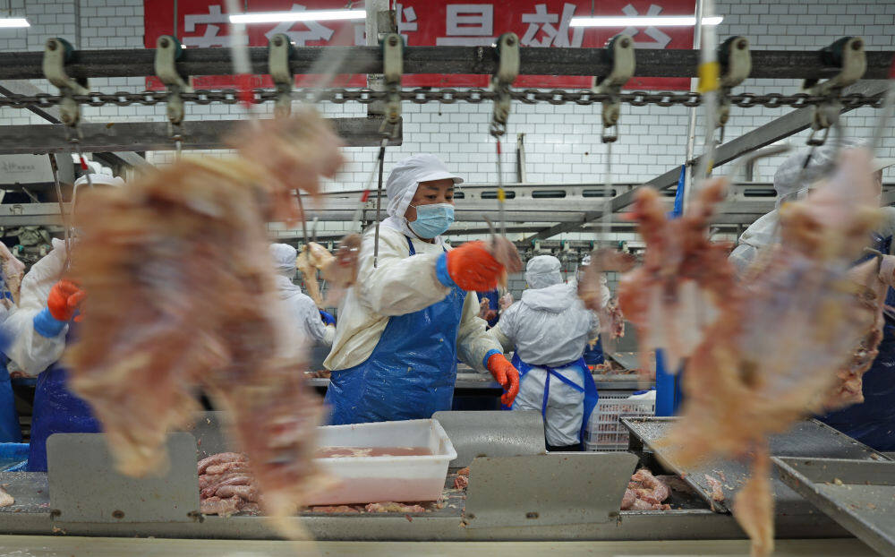 3月11日，在鞍山市九股河食品有限责任公司，工人在车间加工处理鸡肉。