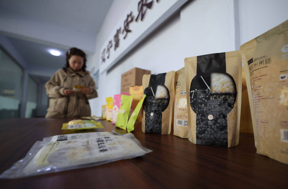 3月11日在辽宁富安农业发展有限公司拍摄的玉米粒食品。