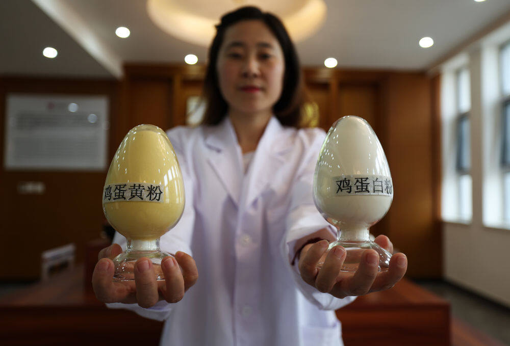 3月11日在辽宁禾丰蛋业有限公司拍摄的鸡蛋粉产品。