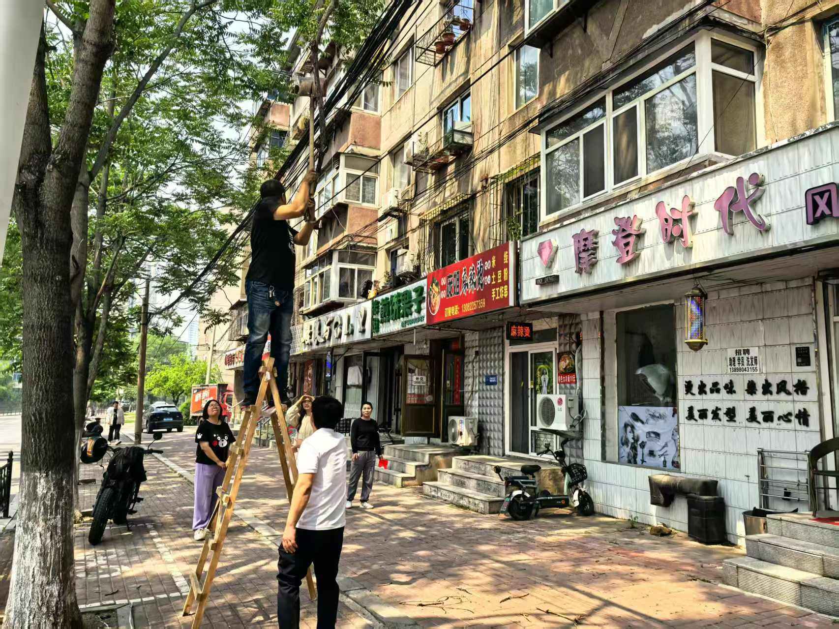 及时处理断裂树枝。