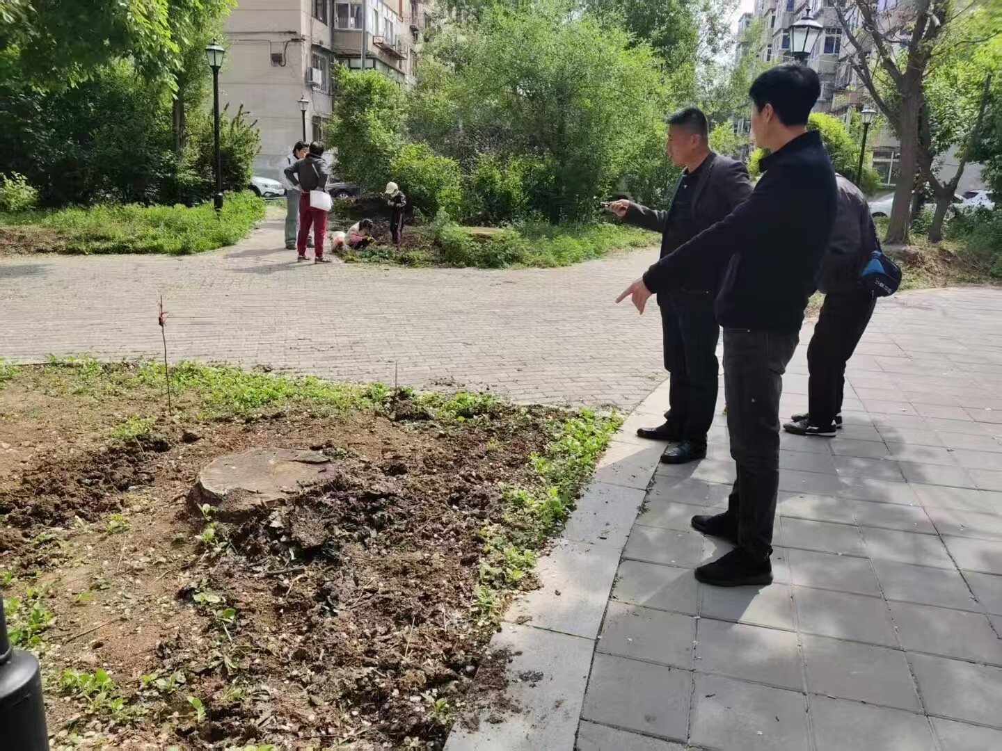 集中整治圈地种菜。