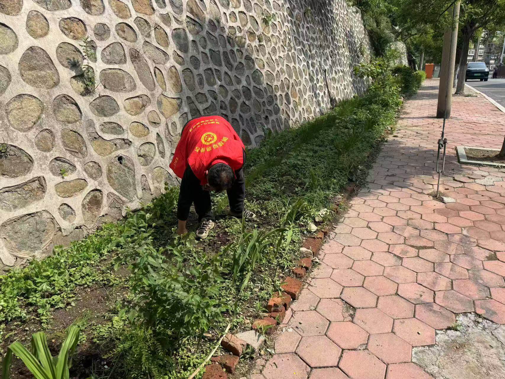 集中整治圈地种菜。