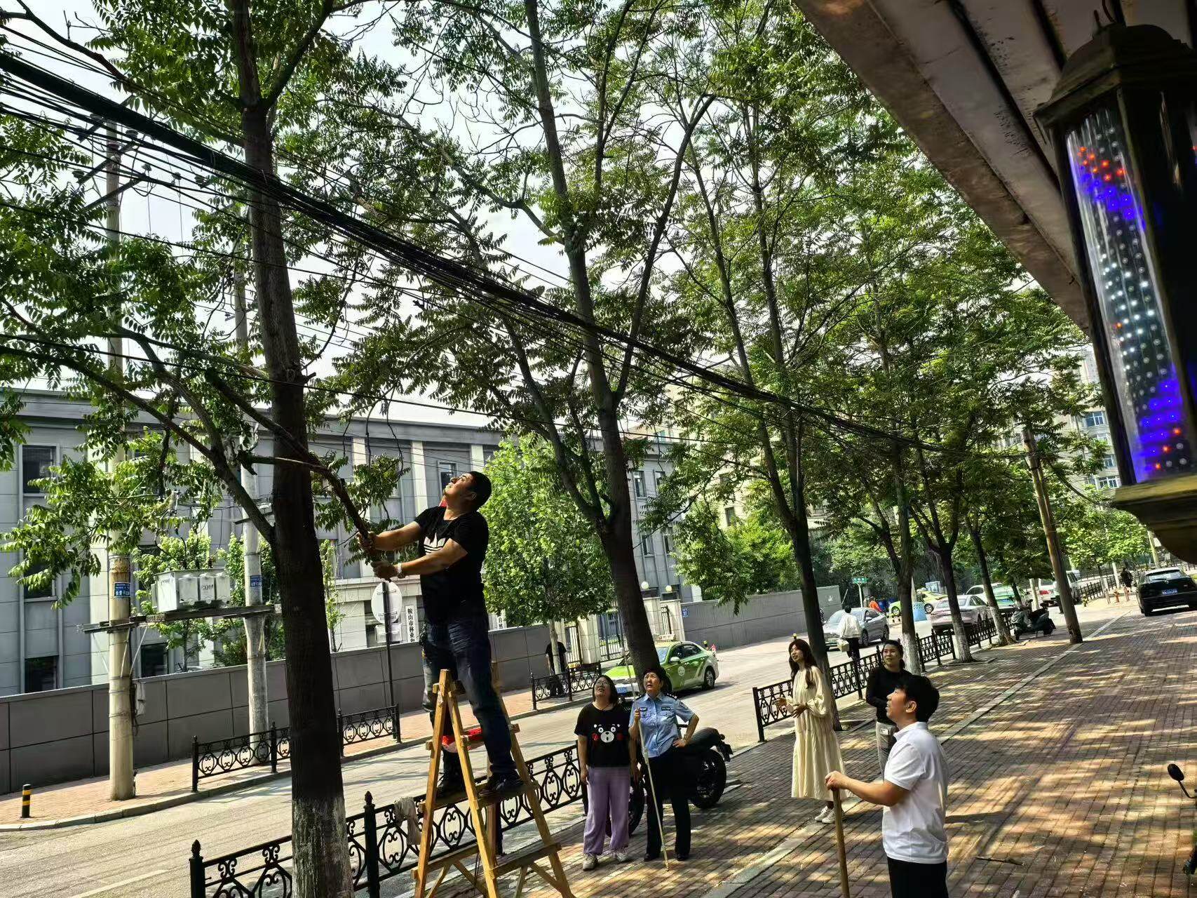 及时处理断裂树枝。