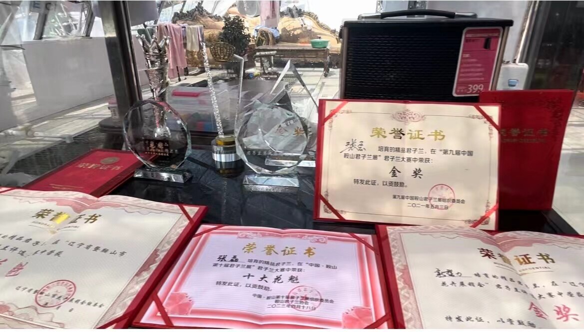线上发力！君子兰产业“一路生花”。