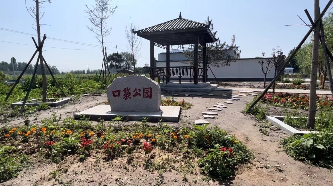 变垃圾堆为口袋公园。