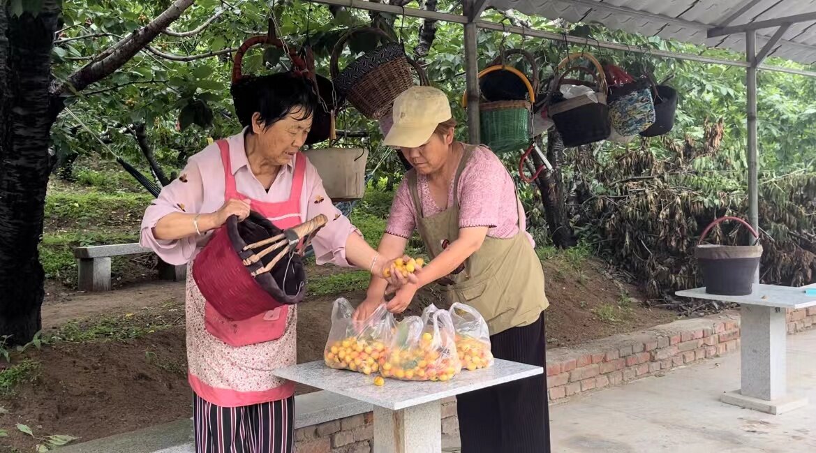 两代人甜蜜接力，成就一园果香。