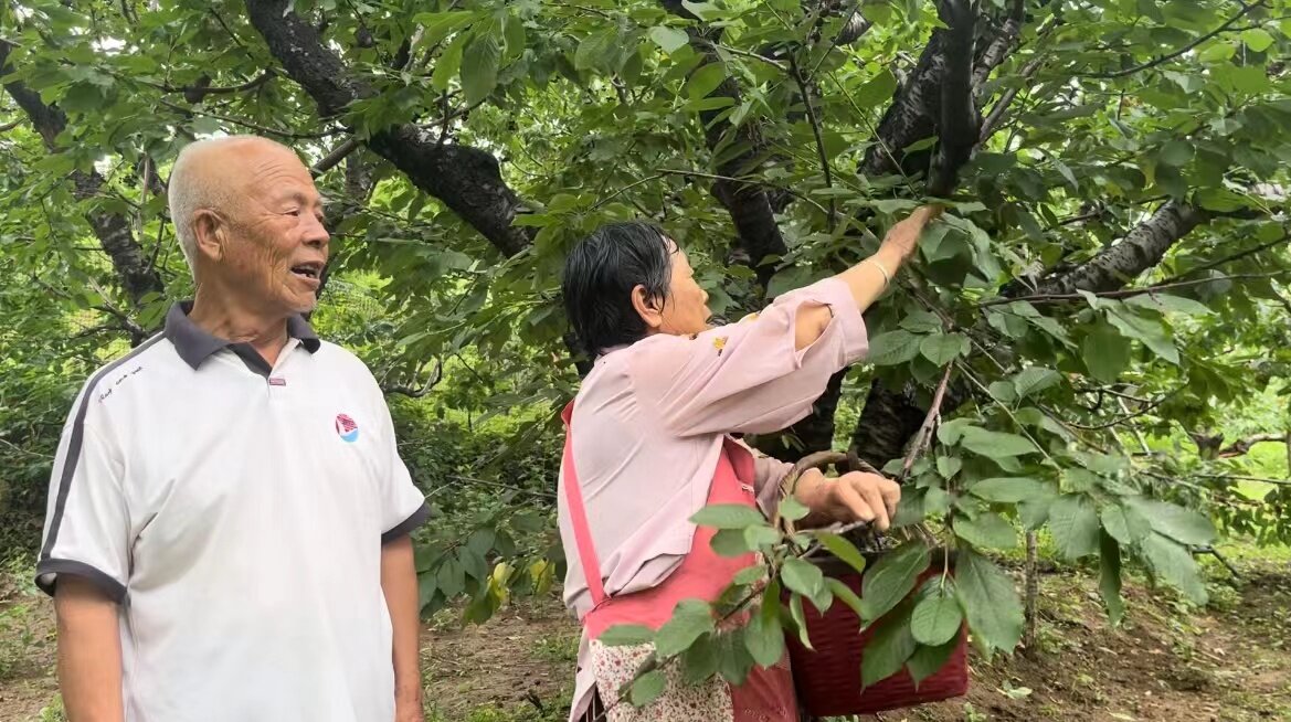 两代人甜蜜接力，成就一园果香。