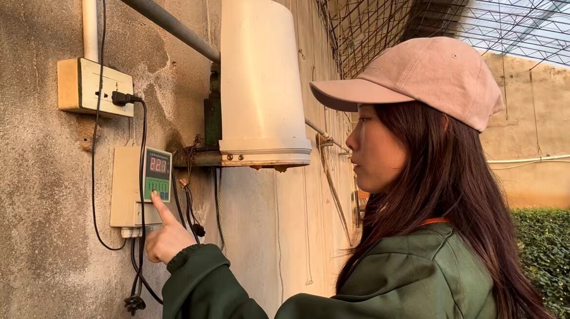 年味藏在果香里。