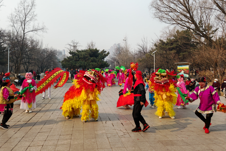 喜迎二月二龙抬头，庆丰收秧歌队在永乐公园扭秧歌庆祝