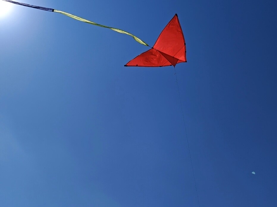 随风飞舞的风筝