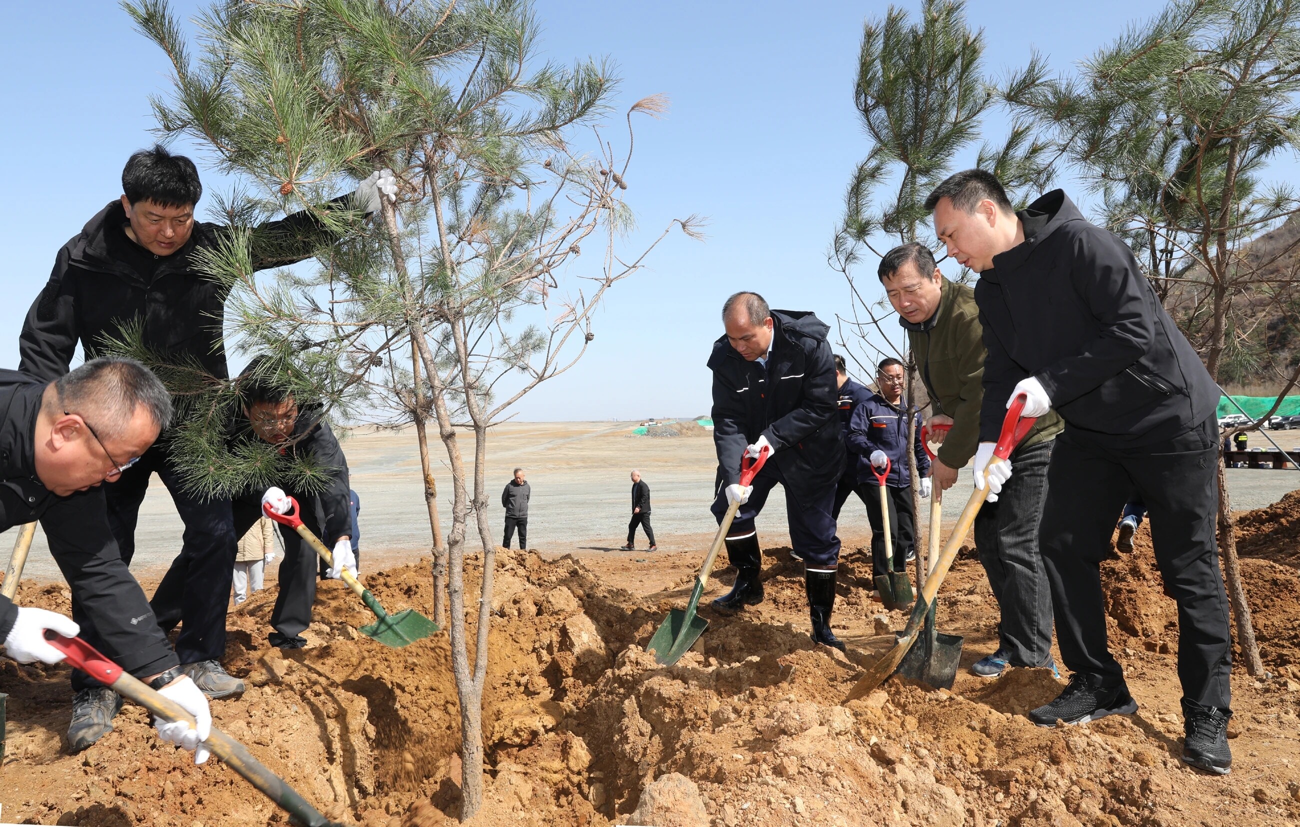 市领导参加义务植树活动。