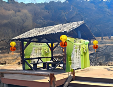 梨花节景观布置效果图