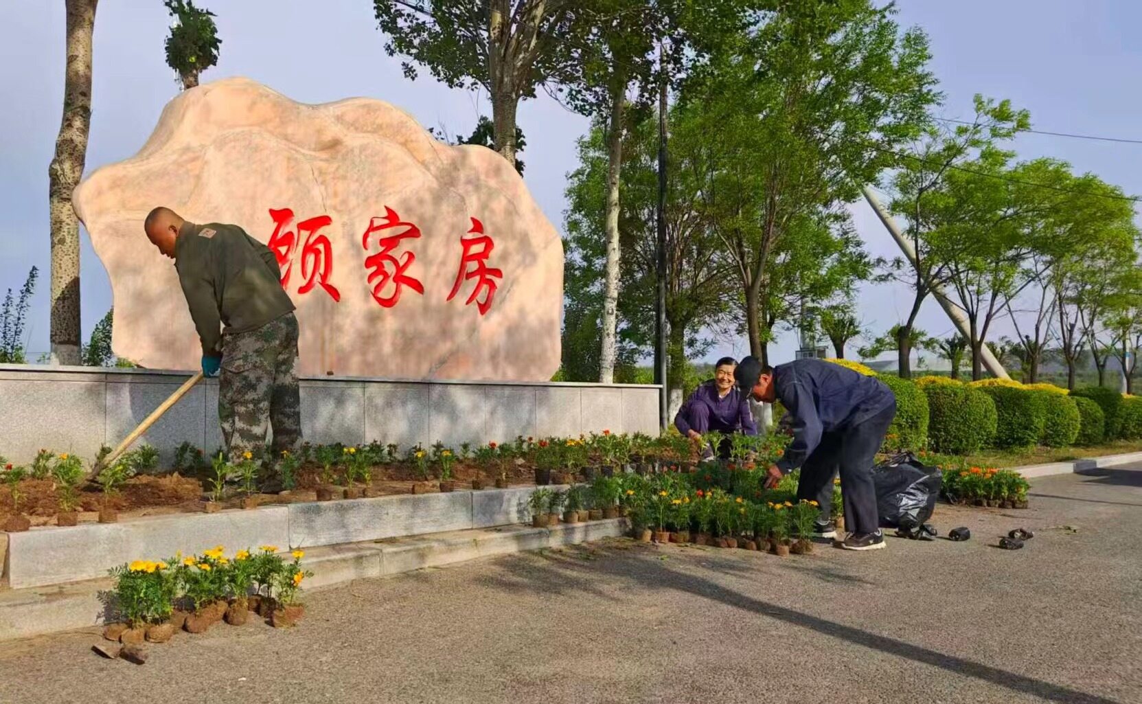 栽种现场。