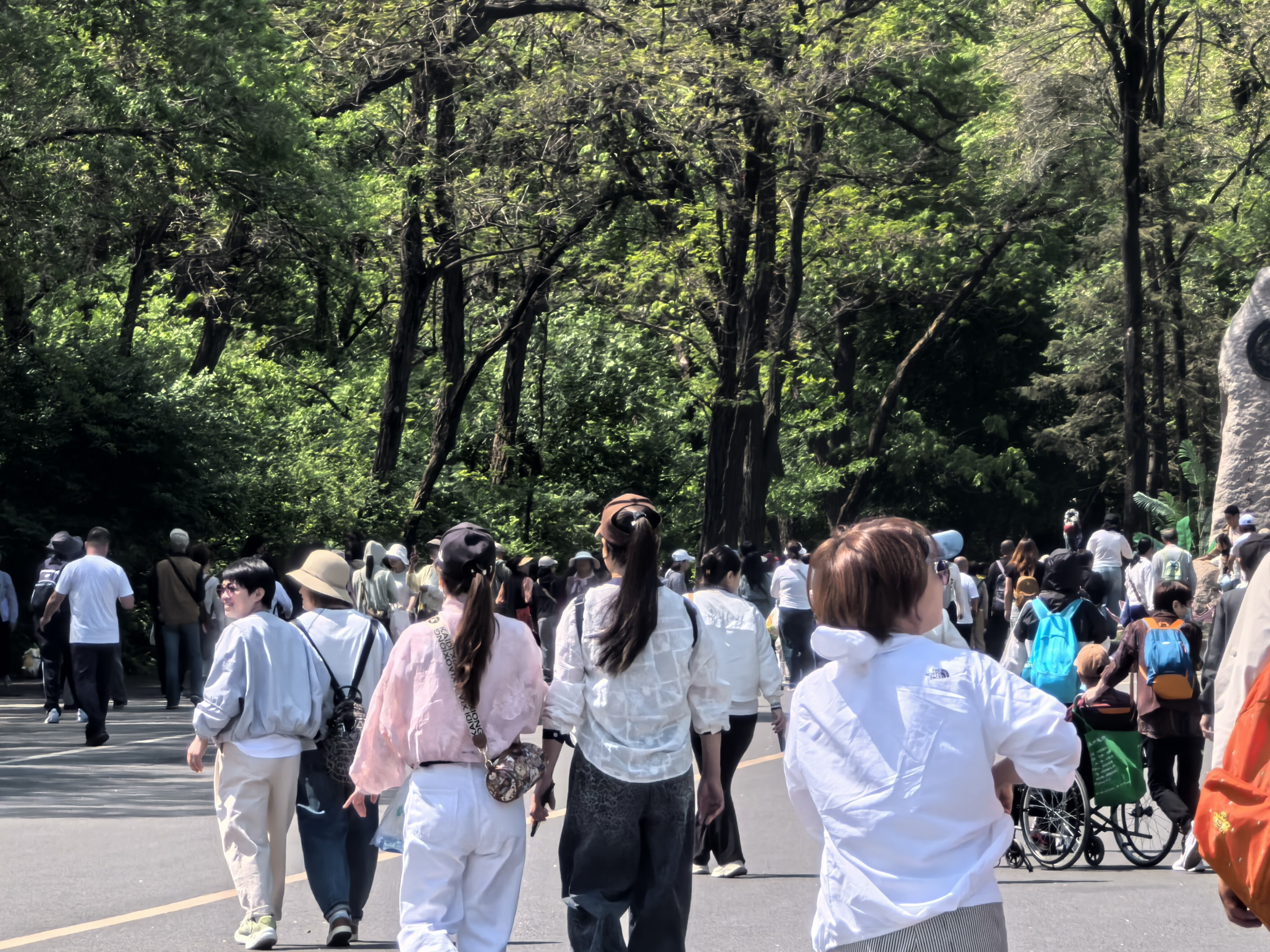 cea7545090ff4008181f053cc87aec6.jpg