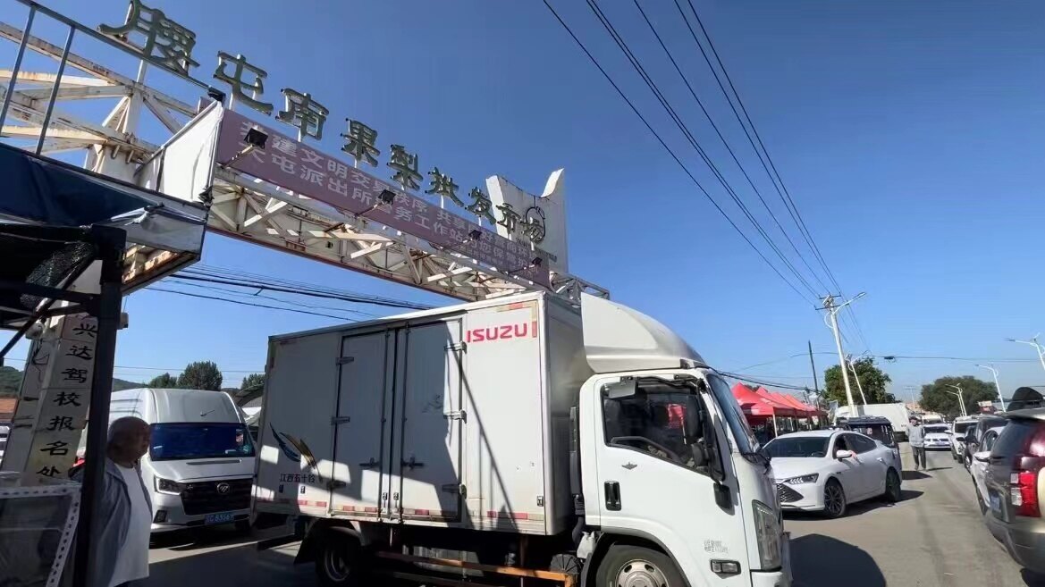 大屯镇南果梨特色产业。