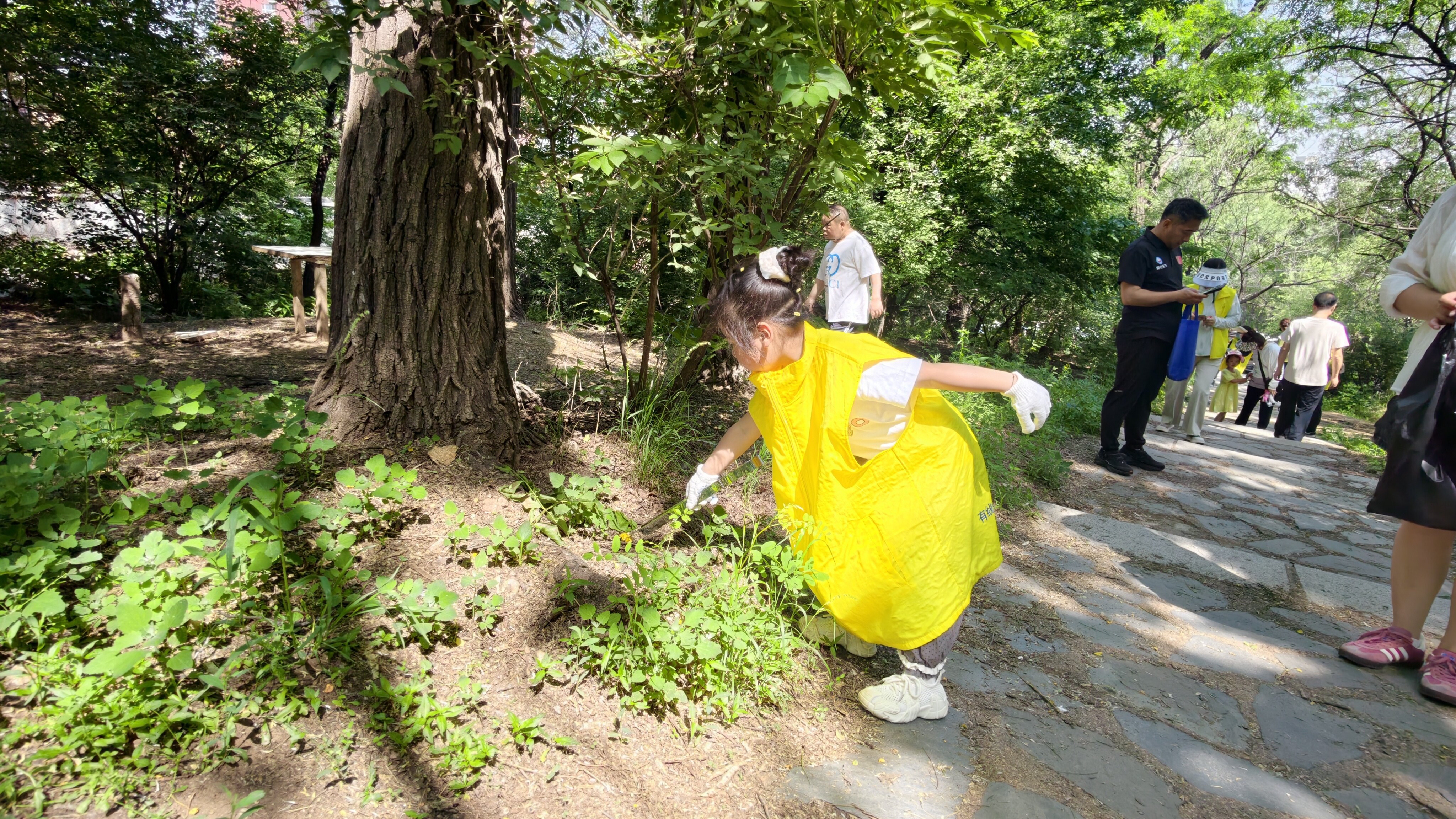 ab63081f17de9d483833562cf8be7c36.jpg