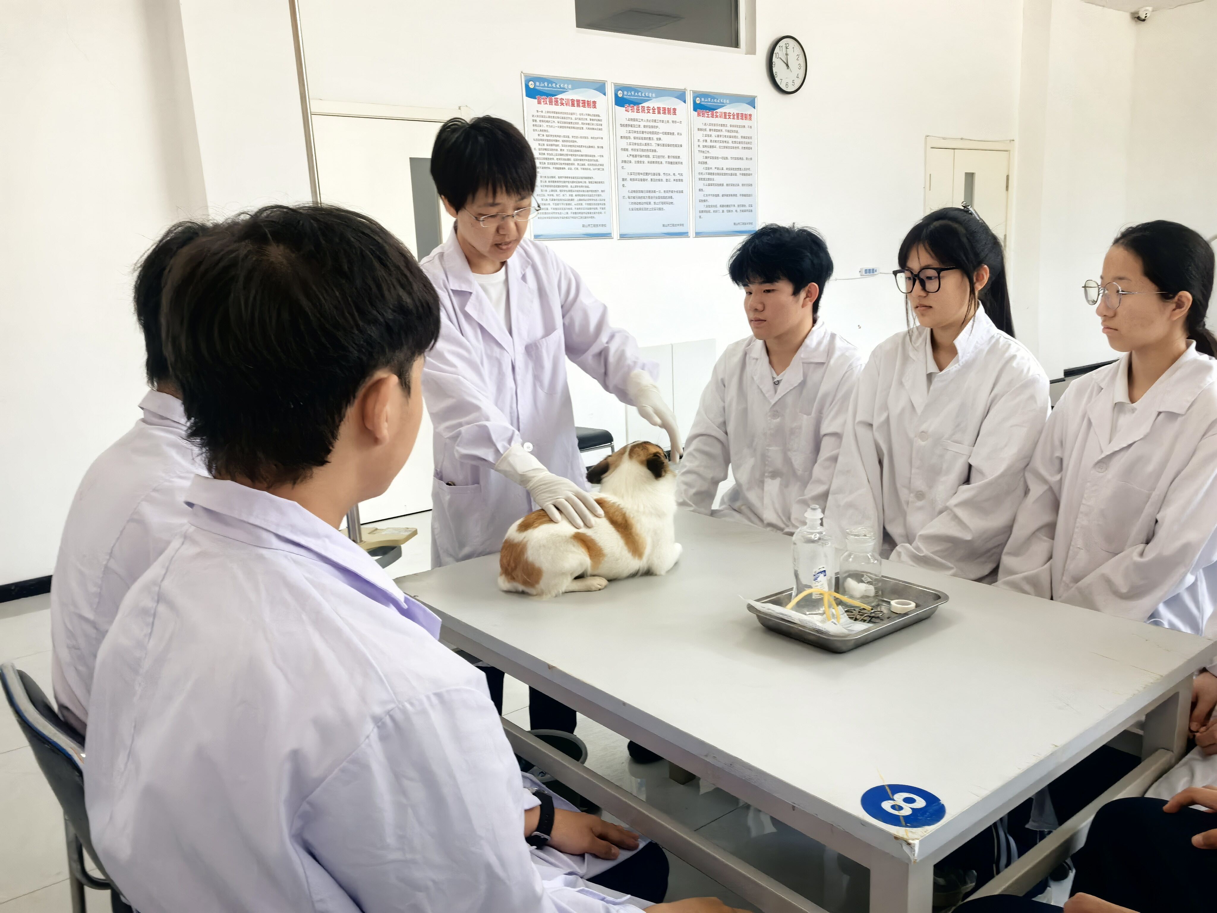 ecdb3929395ff7c8c881a63dcdb631a6.jpg