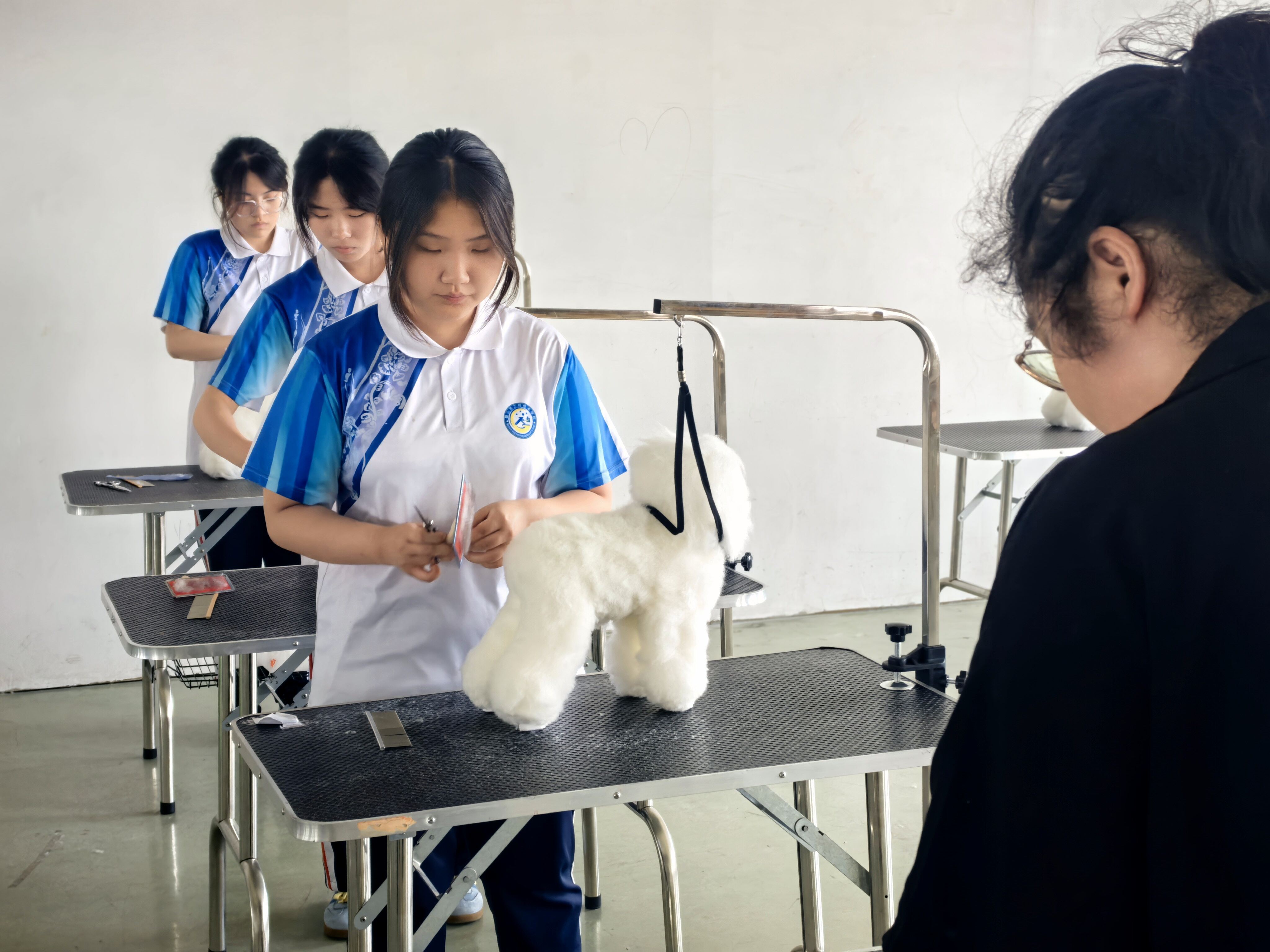 a07df7eadb99918aadc95a52239b6cb1.jpg