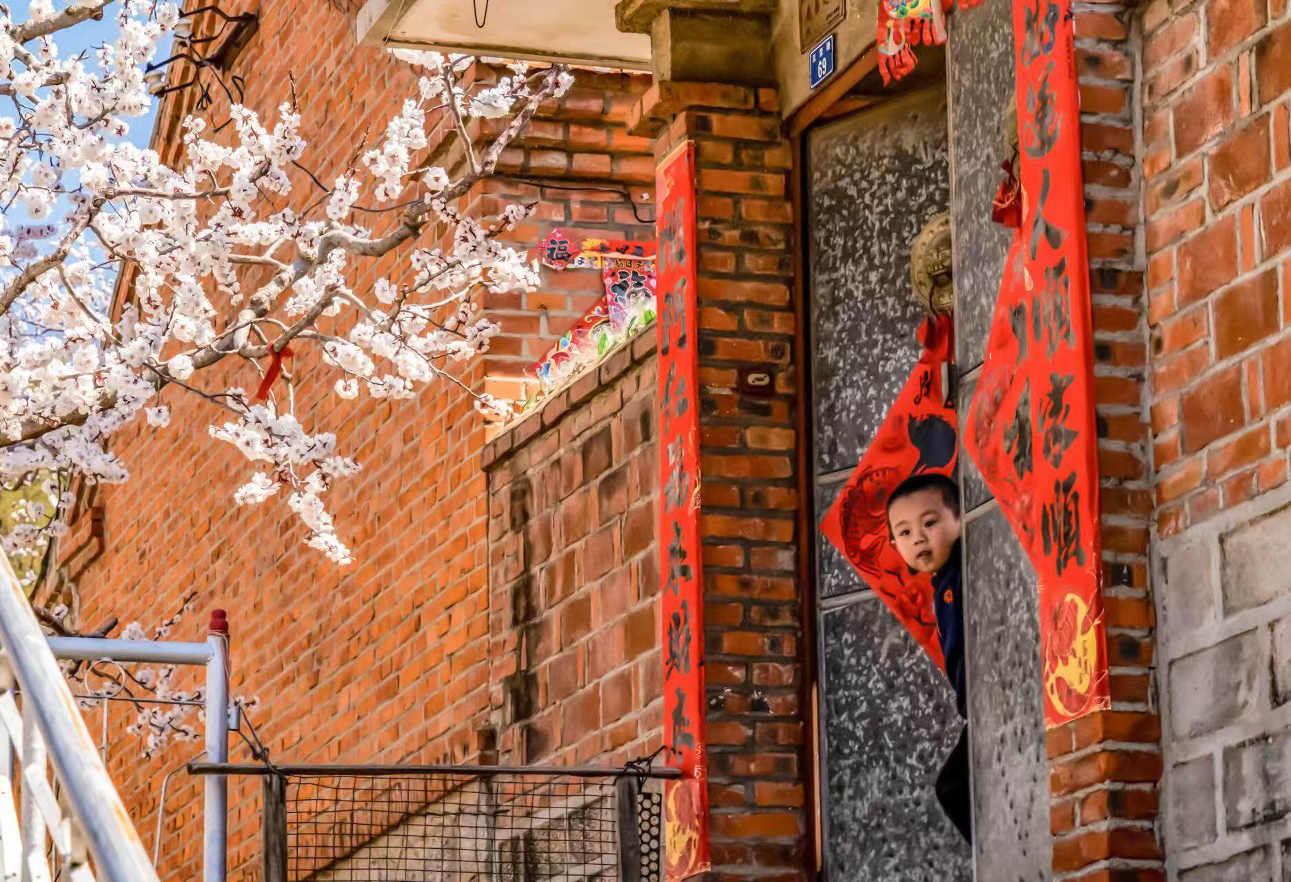 孙绍清《杏梅花开》
