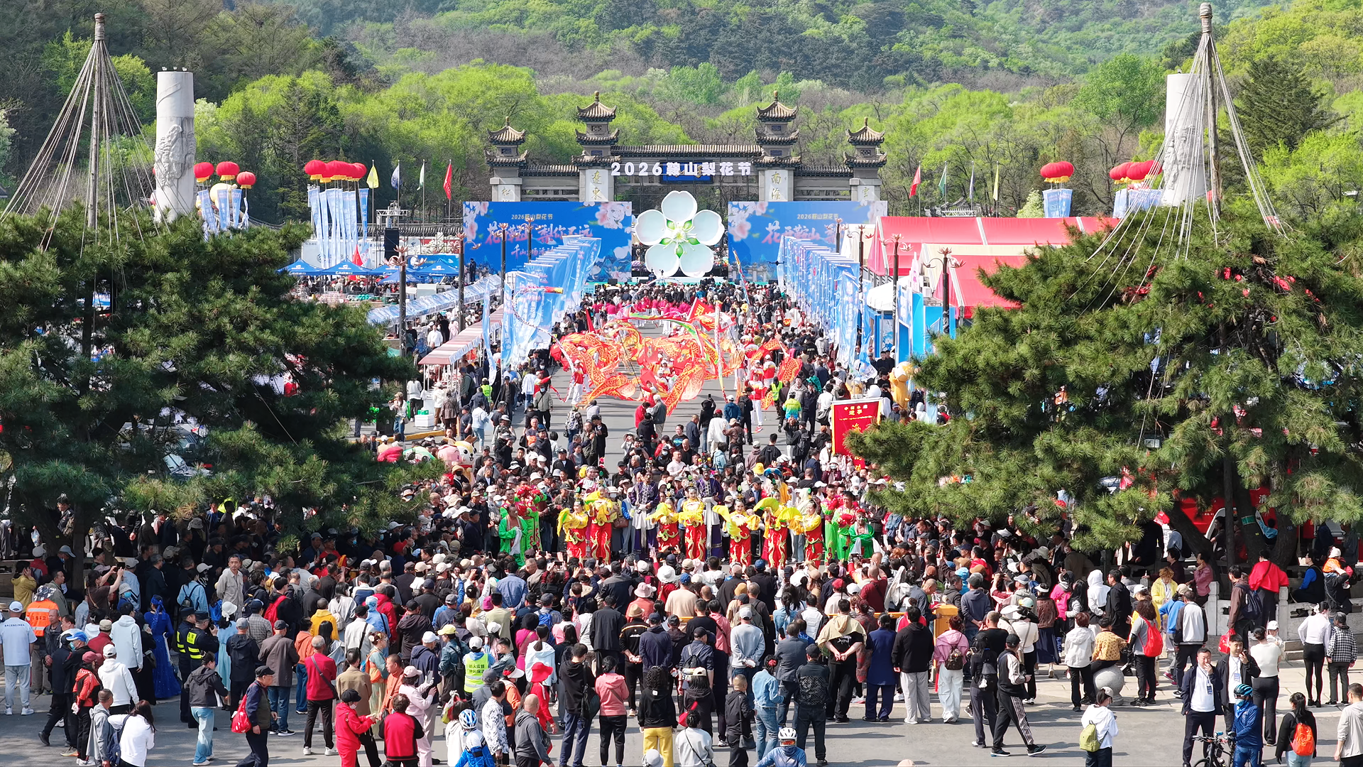 图为千山梨花节活动现场 图为千山梨花节活动现场