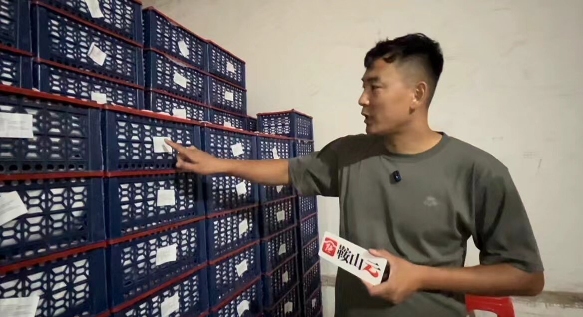 摩云山红杏。