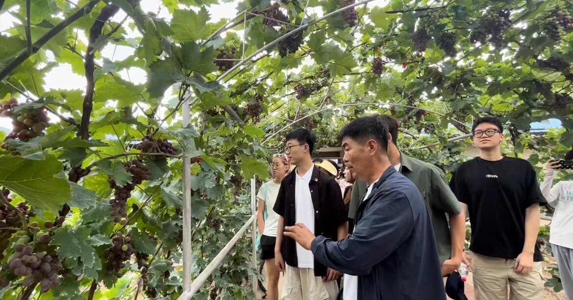 活动现场。