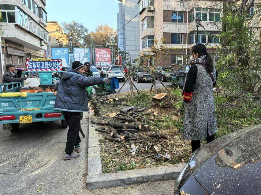 社区迅速反应，砍伐枯树消除安全隐患。