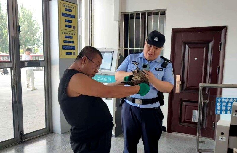 30日早晨，沈阳铁路公安处台安站派出所值班民警单治中在站台巡查时，发